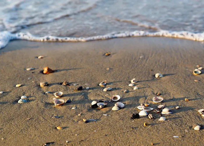 Апартаменти In 37119 *